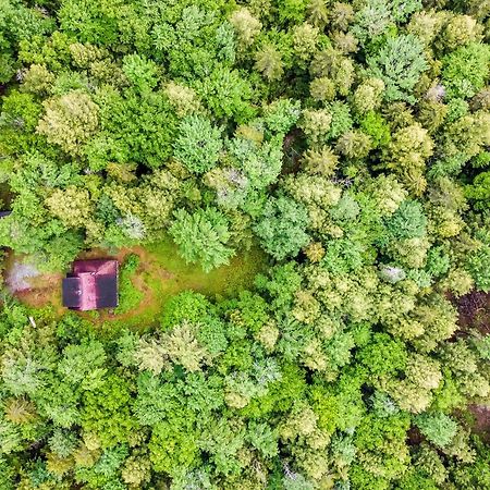 Lost Pond Cabin Schroon Lake Exteriér fotografie